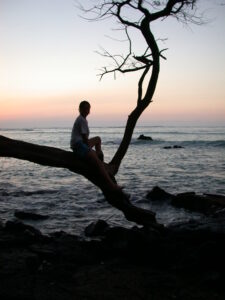 Teenage girl sitting in tree with oceans and light red sunset in the background.