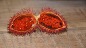Bright red hairy tropical fruit cut in half with bright red seeds inside